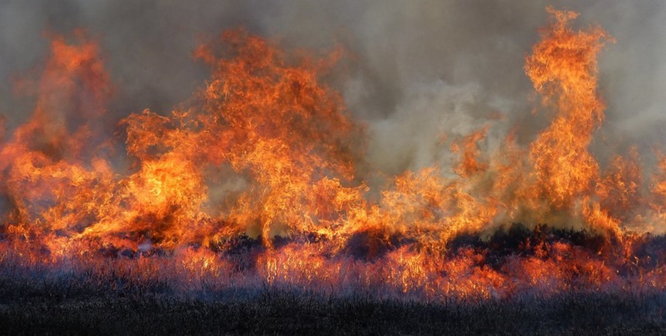 Picture of burning heather moorland by Wendy Carlyle on Flickr