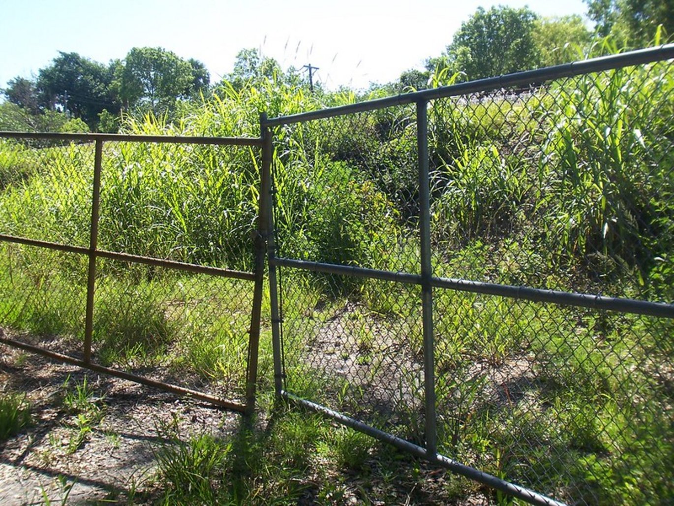 Wire fencing with greenery behind